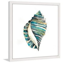 "Aquarelle Shells I" Framed Painting Print