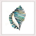 thumbnail image 1 of "Aquarelle Shells I" Framed Painting Print, 1 of 6