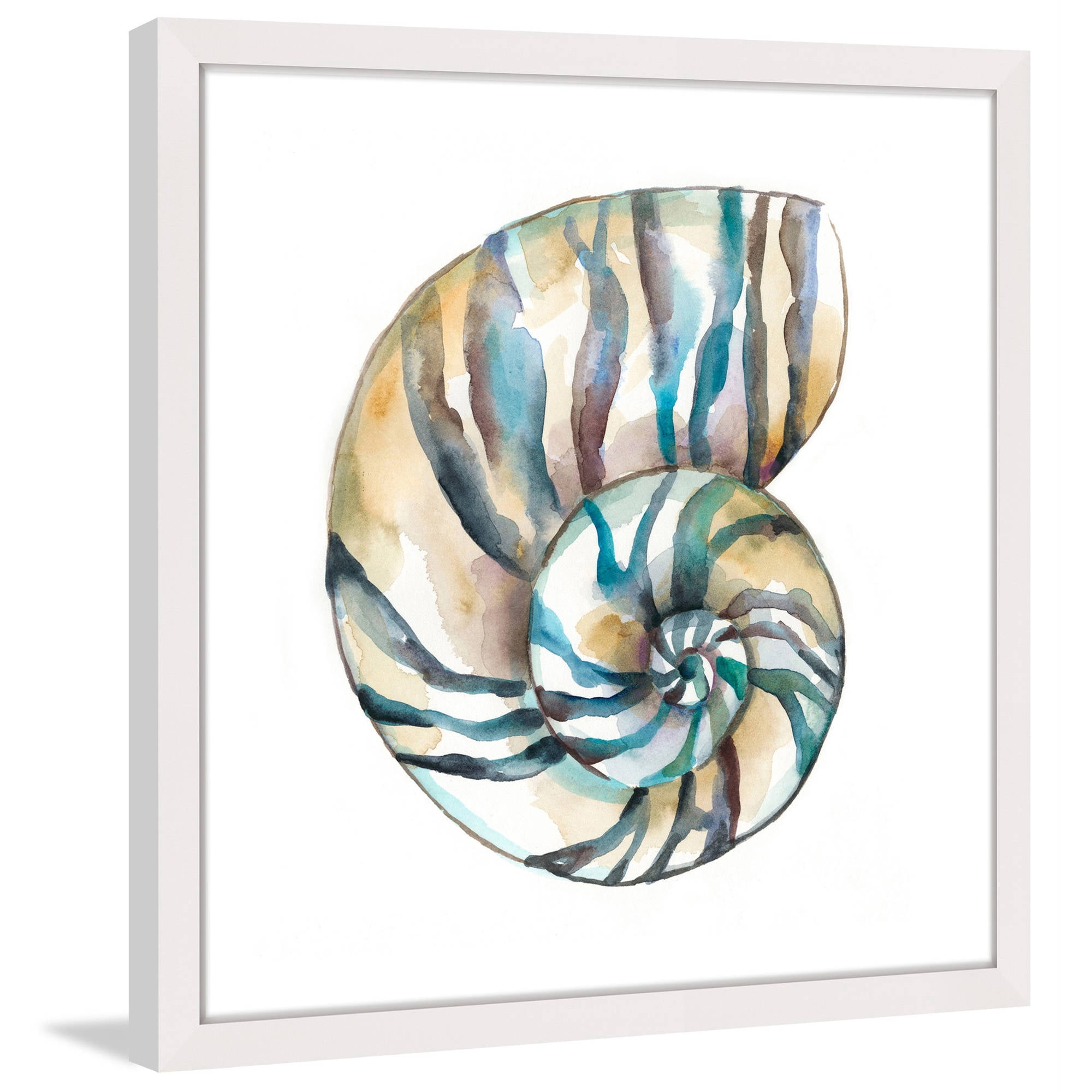 "Aquarelle Shells II" Framed Painting Print