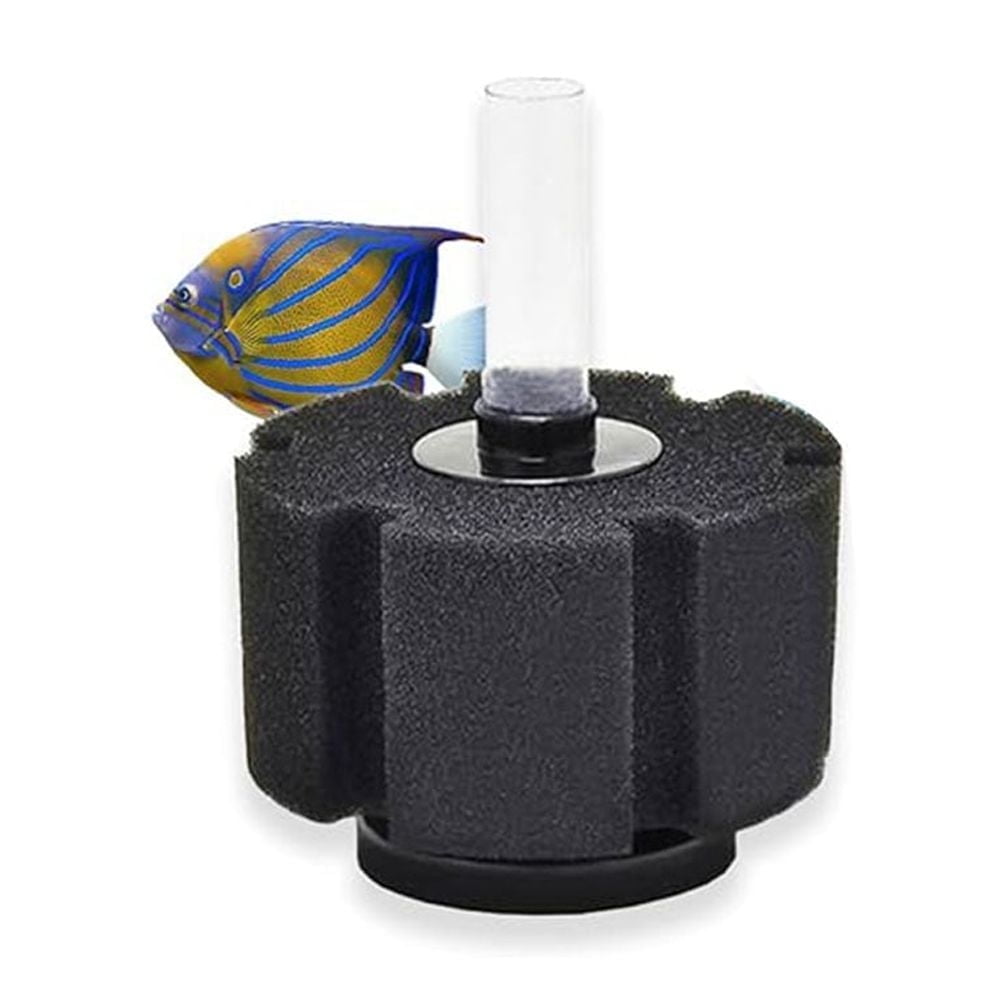 Sponge Filters for Fry Tanks: Ultimate Guide to Cleaner Water