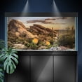thumbnail image 1 of Aquarium Background Stickers - Desert Nature Landscape - Fish Tank Reptile Terrarium Decor Poster, 1 of 4