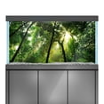 thumbnail image 1 of Aquarium Background Stickers  - Forest, Sunlight, Trees - Fish Tank Reptile Terrarium Decor Poster, 1 of 6