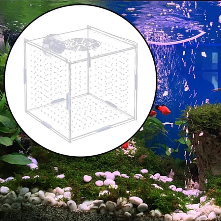Aquarium Box Aquarium Accessory Reusable Portable Fish Hatchery Box Fry Breeder Fish Breeding Holder for Newborn Fry 10x10x10cm