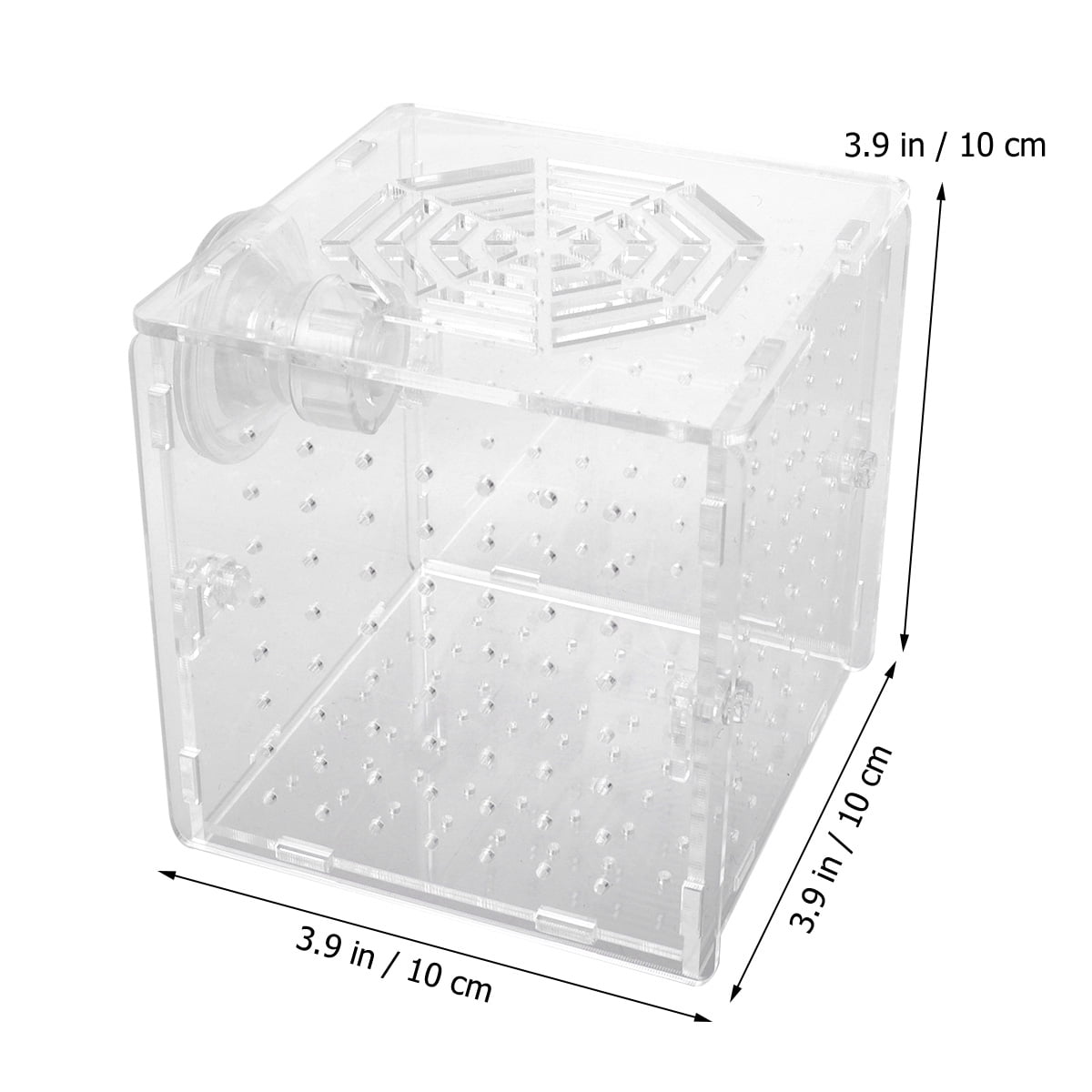 Acrylic Isolation Box Transparent Fish Breeding Tank Aquarium Incubator ...