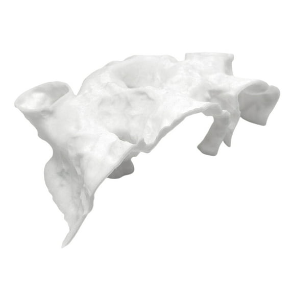 Aquarium Decor 3D Print Natural Curve Under Gravel Tunnel Cave Fish Tank Underground Cave for Fish Reptile Shelter Hiding Houses