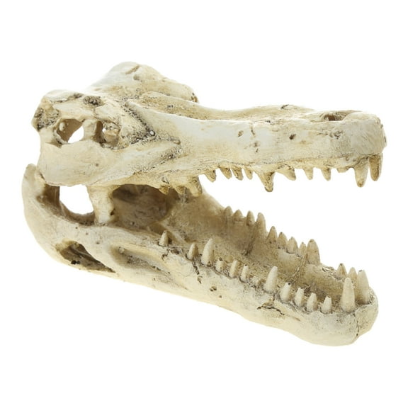 Aquarium Decoration Resin Alligator Skull Fish for Ornament Betta Accessories Aquatic Caves Fish Hideout Easy to Cl