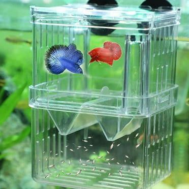 Aquarium Fish Breeder Box Plastic Fish Isolation Breeding Box Hatching Incubator Box for Baby Fish Shrimp Clownfish Guppy