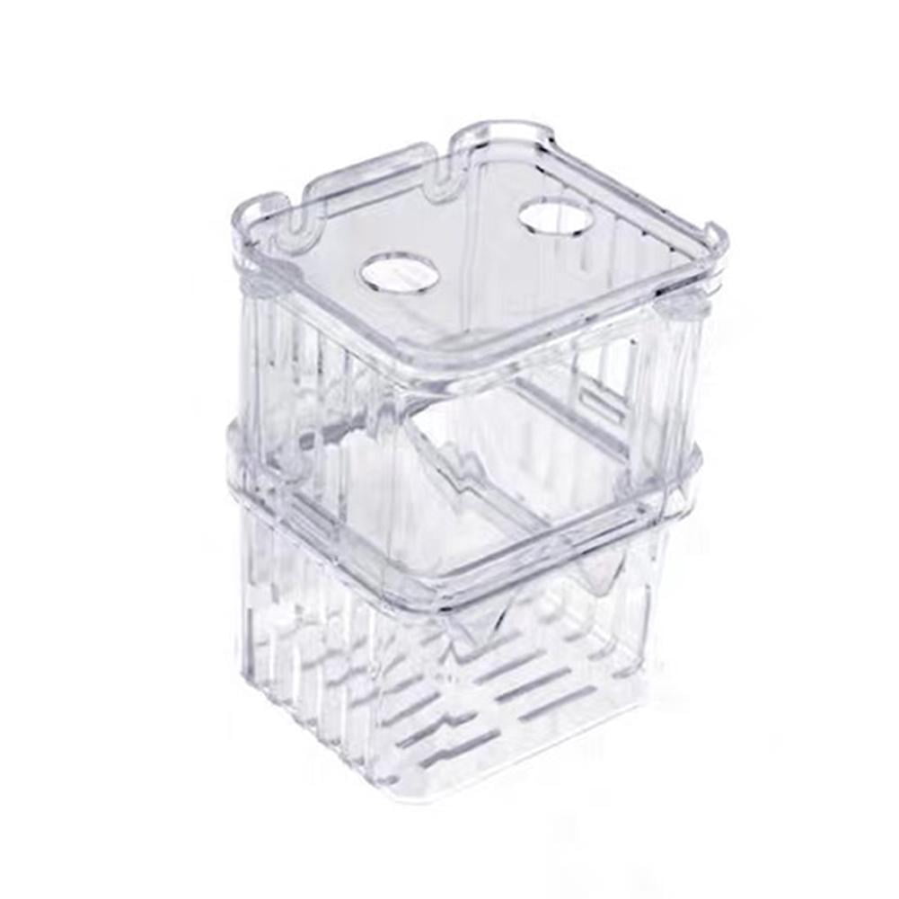 Fresh Look at Aquarium Fish Egg Hatchery Box With Adjustable Water Level And