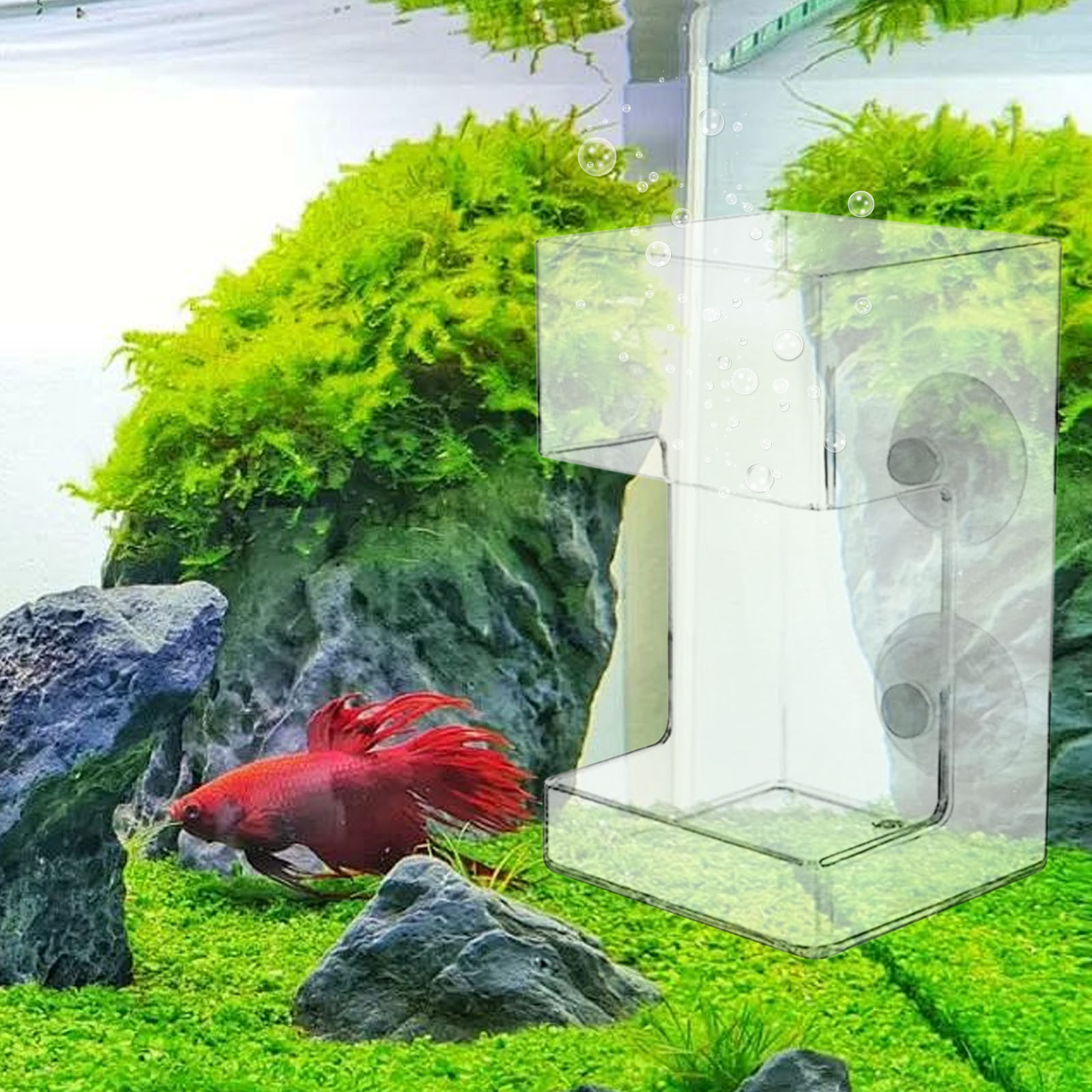 Aquarium Fish Feeder Acrylic Feeding Tube Ring with Suction Cup | No Mess Fish Shrimp Turtle Food Dispenser | Adjustable Portion Control | Easy Clean | 2-Pack | Prevents Scattered Food