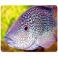 thumbnail image 1 of Aquarium Fish Mouse pads Gaming Mouse Pad 9.84x7.87 inches, 1 of 3