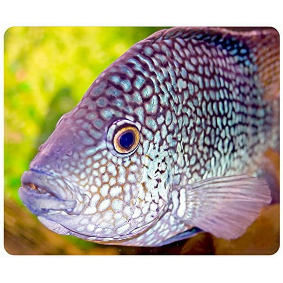 Aquarium Fish Mouse pads Gaming Mouse Pad 9.84x7.87 inches