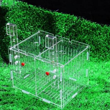Aquarium Fish Tank Baby Fishes Hatchery Incubator Breeding Box Isolation Divider Hatching Boxes Accessory