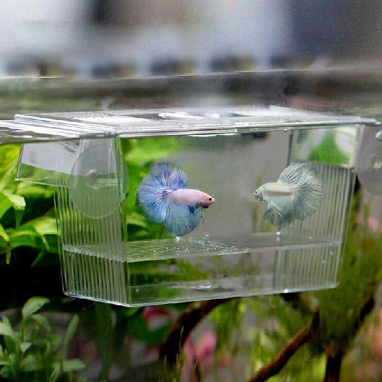 Tank For Rearing Fish Aquarium Fish Tank Guppy Double Breeding Breeder Rearing Trap Box ...