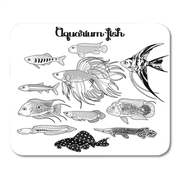 Aquarium Fishes Drawn in Line Under Water Scenery The Mousepad Mouse Pad Mouse Mat 9x10 inch