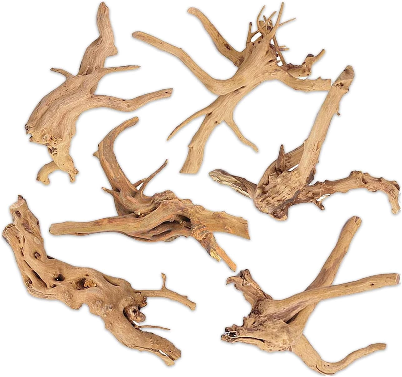Aquarium Hardscape DriftWood: SpiderWood Size: Medium 10-14 Inches Live Aquarium Plants BUY 2 GET 1 FREE