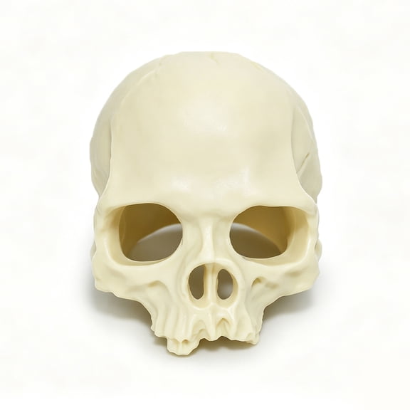 Aquarium Human Skull Decor, Sinking Fish Tank Decorations, Betta Fish Tank Accessories Resin Aquarium Decor for Shrimp Hide