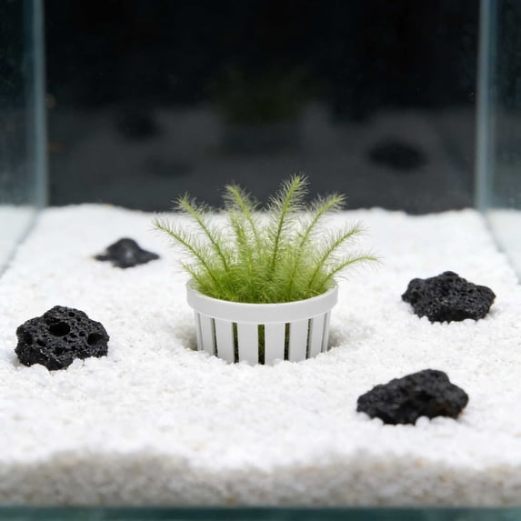 Aquarium Hydroponic Plant Basket, Durable Plastic Underwater Plant Holder with Weighted Base for Aquarium Fish pond