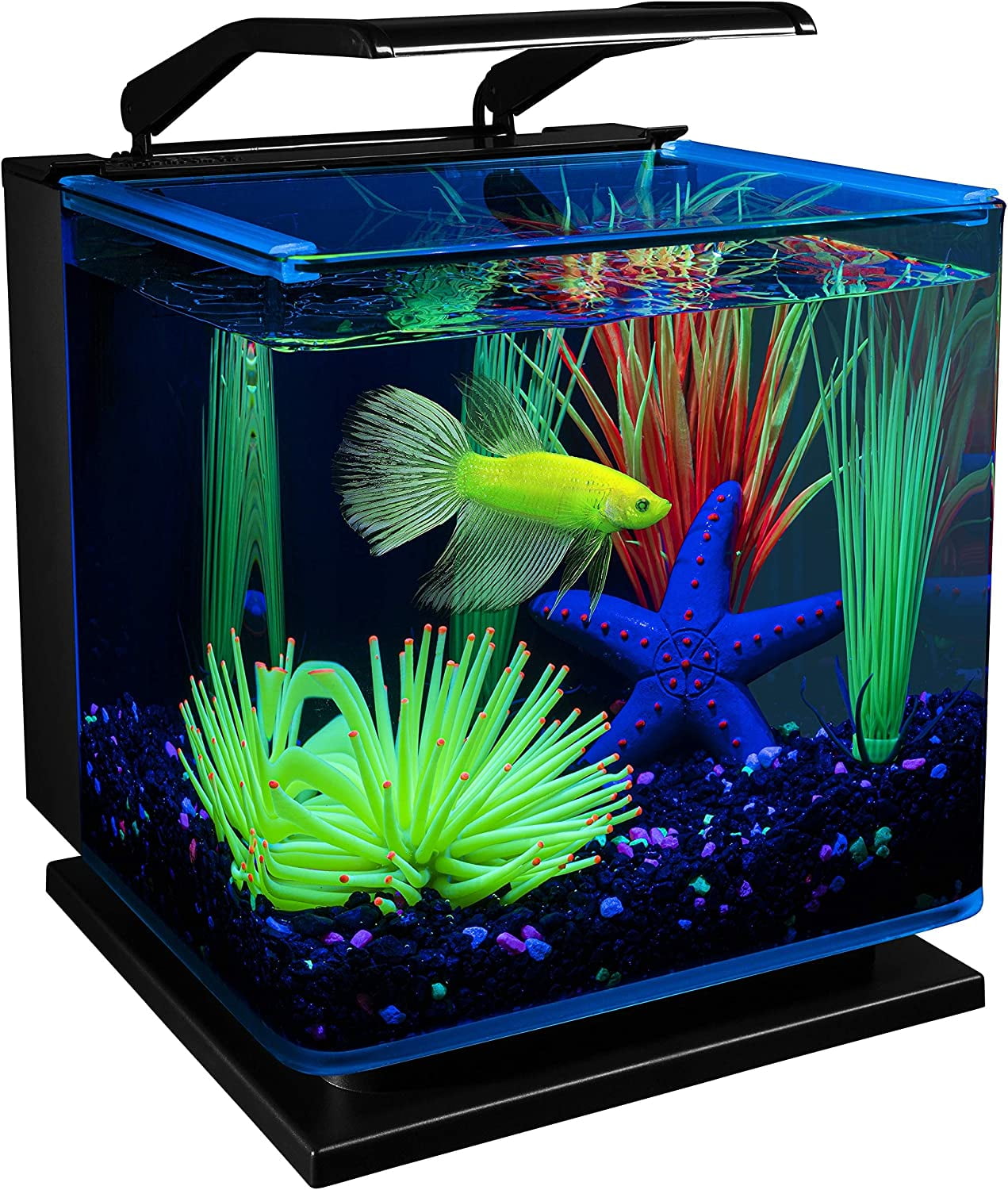 Marina 5g led glass aquarium kit sale