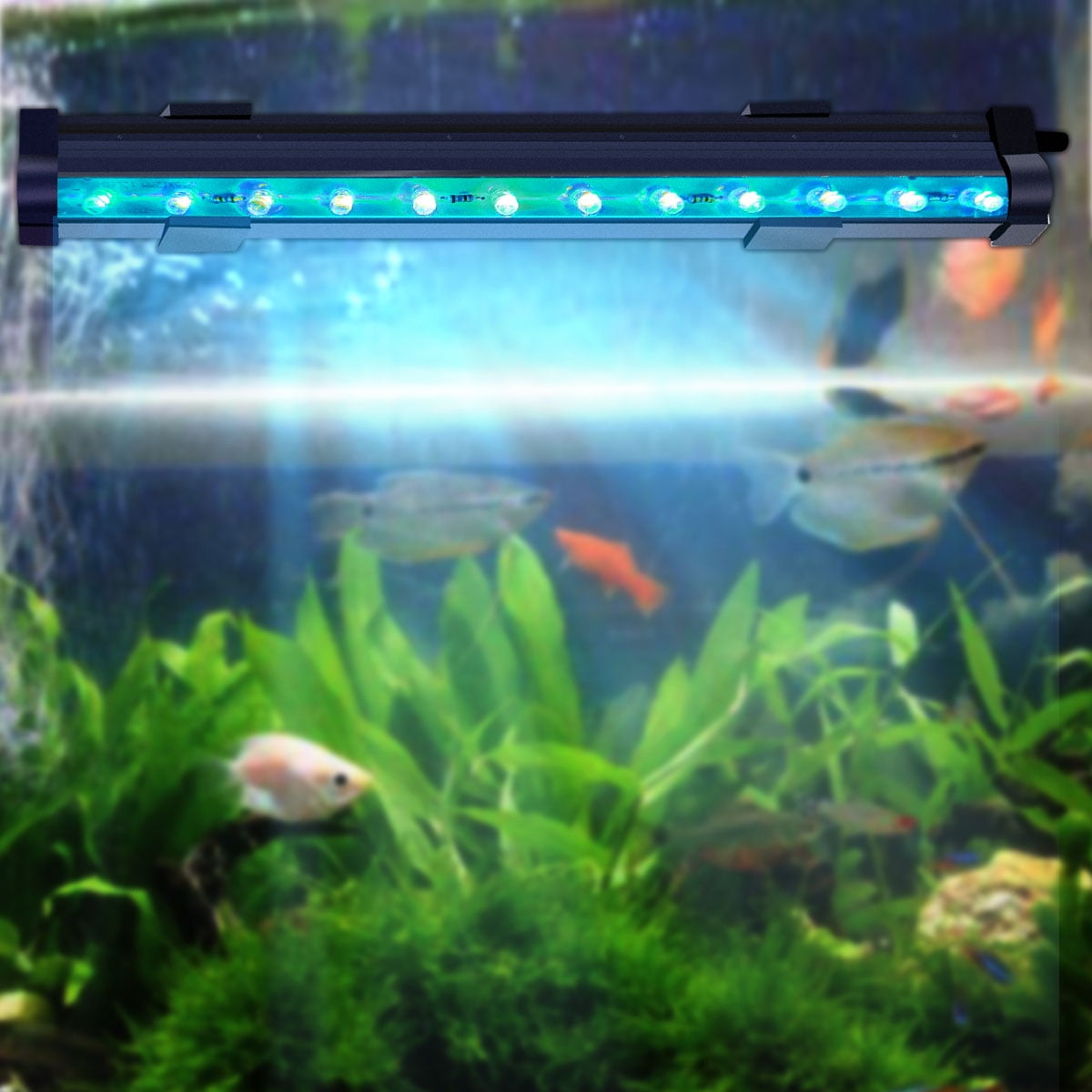 Aquarium Light with 2 Pcs of Moveable Suction Cups, 9.8" LED Fish Tank