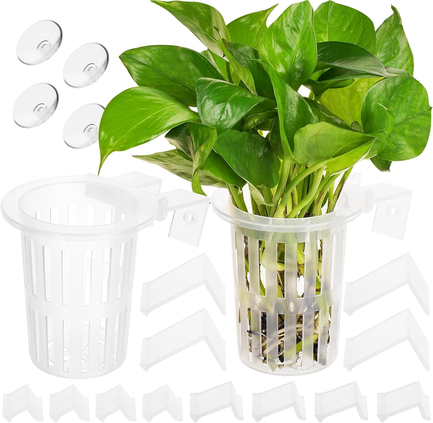 Aquarium Plant Holder with Extension Hooks and Suction Cups for Aquaponic Plant Cultivation and Aquascape Decorations (2 PCS) Transparent
