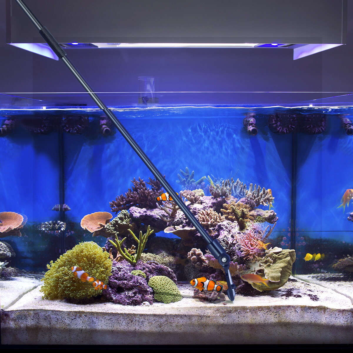 PartyKindom Aquarium Scraper Black, Wide Head, Non-Scratch, Premium ABS ...