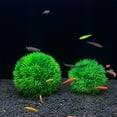 Aquarium Simulation Aquatic Grass, Plastic Decoration Flower Ball Grass for Fish Tank