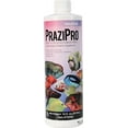 thumbnail image 1 of Aquarium Solutions PraziPro Fish Parasite Treatment for Flukes, Tapeworm & Flatworms, 16 oz, 1 of 3