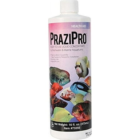 Aquarium Solutions PraziPro Fish Parasite Treatment for Flukes, Tapeworm & Flatworms, 16 oz