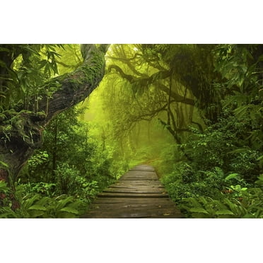 Aquarium Terrarium Backgrounds Main (Rainforest With Walkway, 36”L X 16”H)