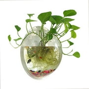 Aquarium for Betta Fish - 1-Gallon Clear Bowl, Wall Mounted with Plant Bubble, Decorative Fish Tank