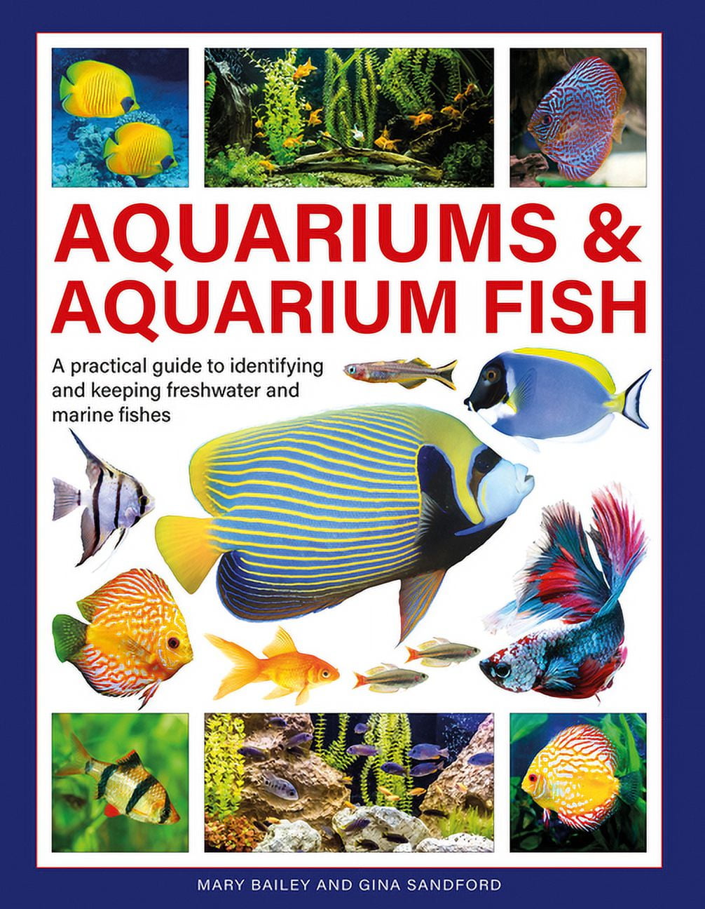 Keeping freshwater fish cheap