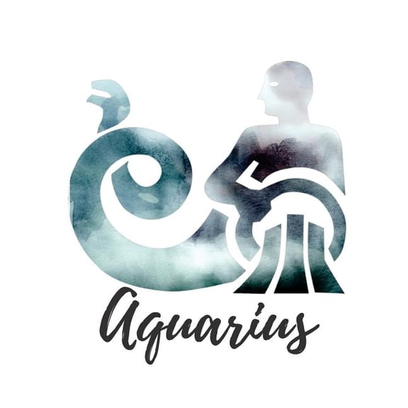 Aquarius: Aquarius Cornell Notes (Paperback)