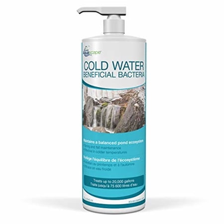 Aquascape 98894 Cold Water Beneficial Bacteria for Pond and Water Features, 32oz
