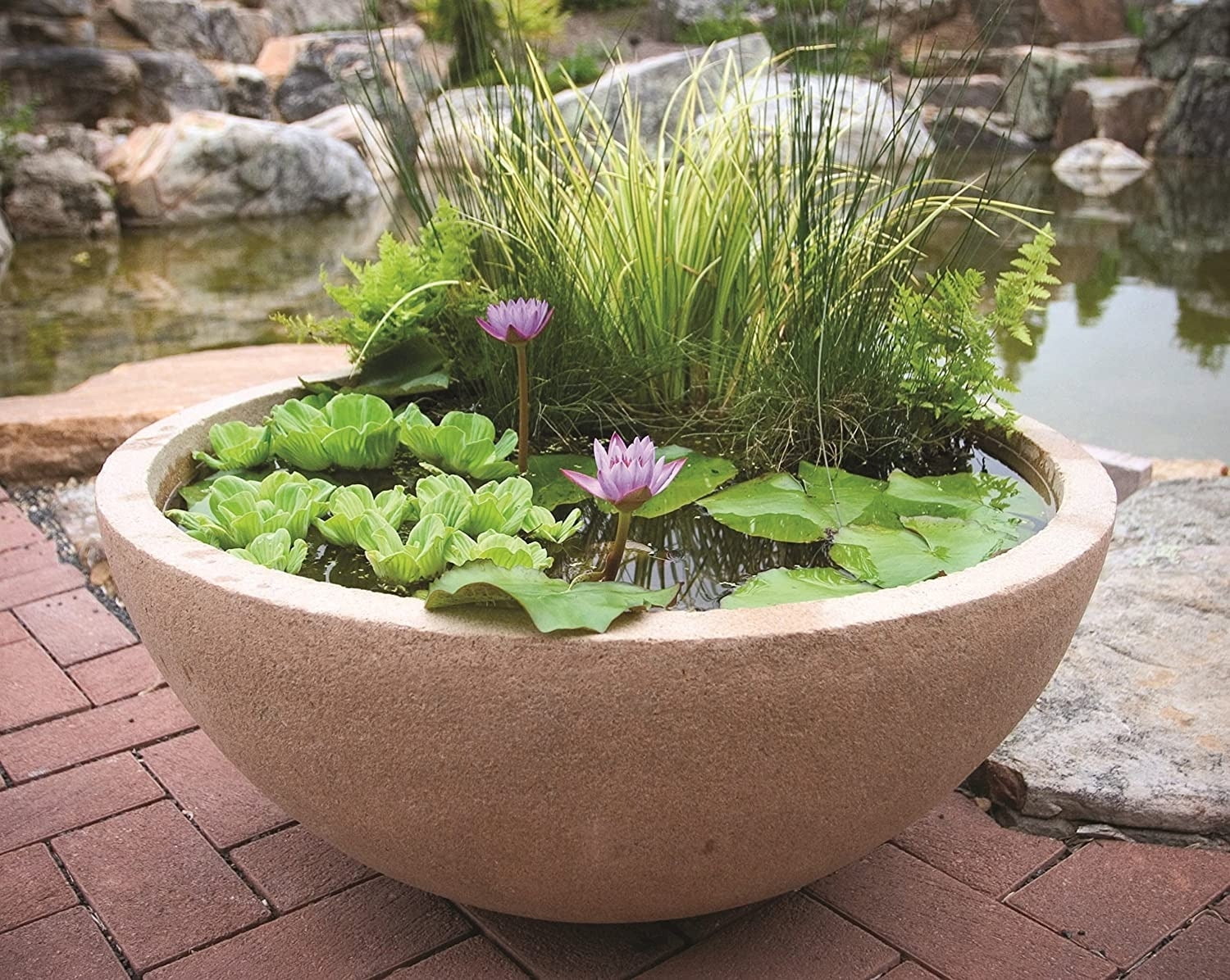  4 pound Pouring Pot : Patio, Lawn & Garden