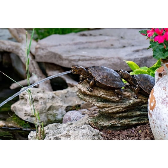 Aquascape Double Turtle on Log Pond Spitter/fountain