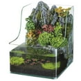 thumbnail image 1 of Aquaterrium Planting Tank, 1 of 1