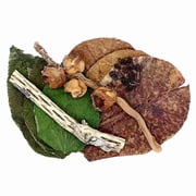 Aquatic Arts Botanical Combo Pack   Natural Aquarium Botanicals for Shrimp, Fish & Aquascaping