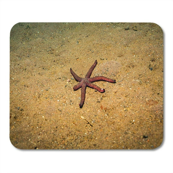 Aquatic Blue Seastar on Bali Coral Garden Indonesia Red Aquarium Atoll Mousepad Mouse Pad Mouse Mat 9x10 inch