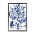 thumbnail image 1 of Stupell Industries Aquatic Conch Collection Gray Framed Floater Canvas Wall Art, design by LSR Design Studio, 25 x 17, 1 of 9