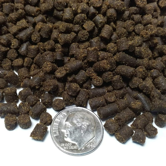 Aquatic Foods 3/16" Rangen's Soft Moist Sinking Pellets for Axolotls, Salamanders, Shrimp & ALL Tropical Fish - 3-lbs