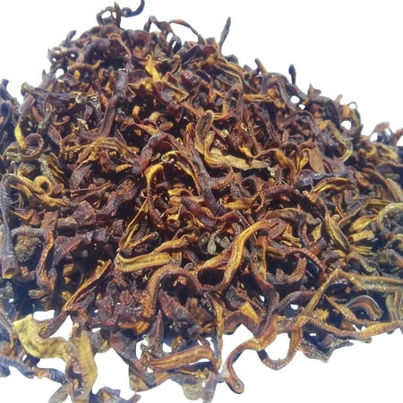 Earthworms, Freeze Dried Earthworms Perfect Hight Protein Diet for Large Tropicals, Pond Fish, All Turtles, Hamsters, All Rodents, Birds - 1/4-lb