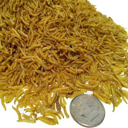Aquatic Foods Freeze Dried White Worms - Great for smaller Tropicals, Marines, Aquatic & Land Turtles - 1-lb