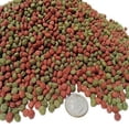 thumbnail image 1 of 4mm - 3/16" Spirulina Green Grow & Color Enhancing Mix of Floating Pellets for LG Tropicals, Koi and All Pond Fish - 1-lb, 1 of 1