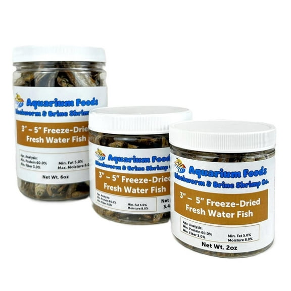 3"- 5" Freeze Dried Fresh Water Fish for Piranhas Large Fish, Land and Aquatic Turtles, Rodents, Reptiles, Lizards, Cat Treats - 2oz Sm Round Jar
