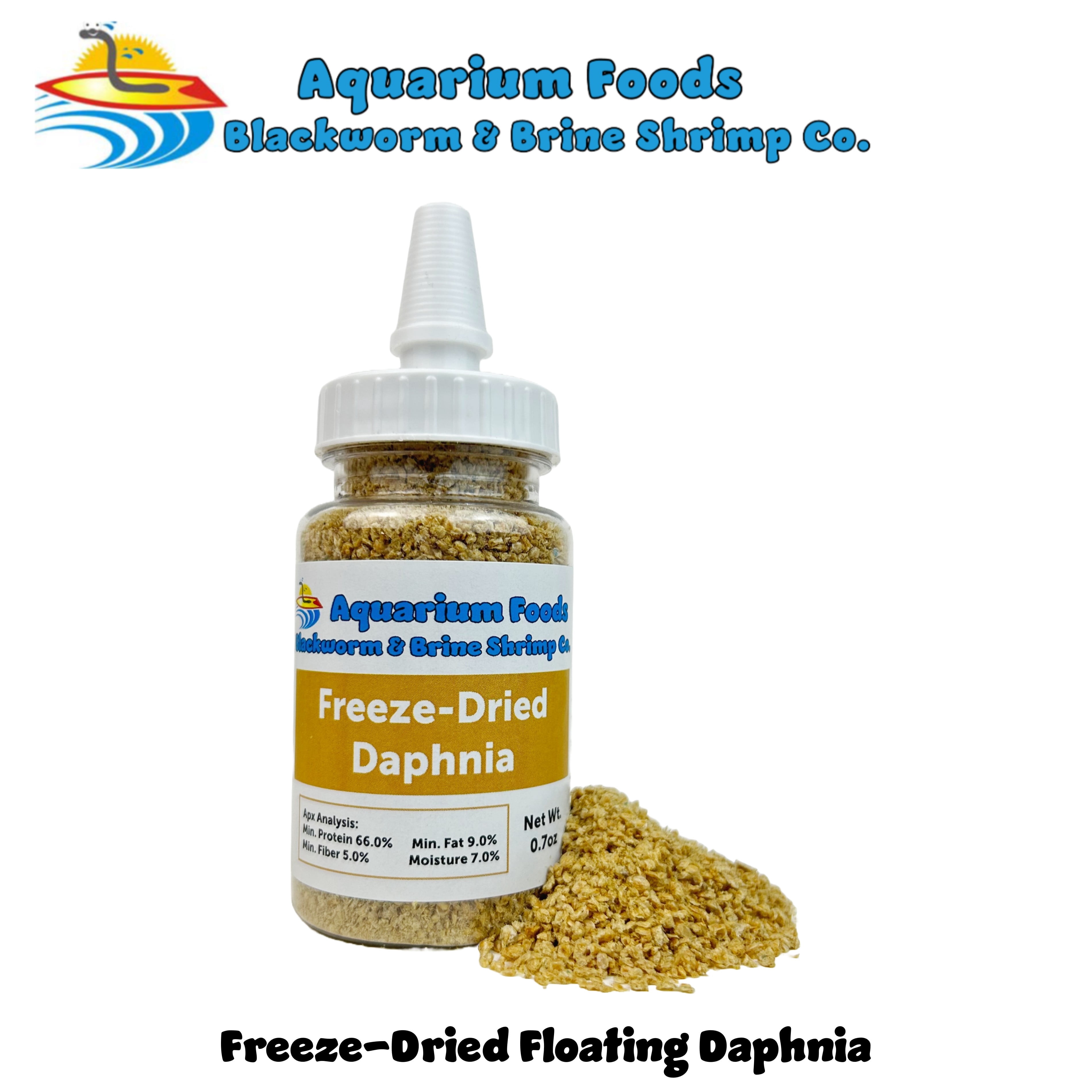 Curated visual reference: Picture Idea: Aquatic Foods Inc Freeze Dried Daphnia For All Freshwater Fish