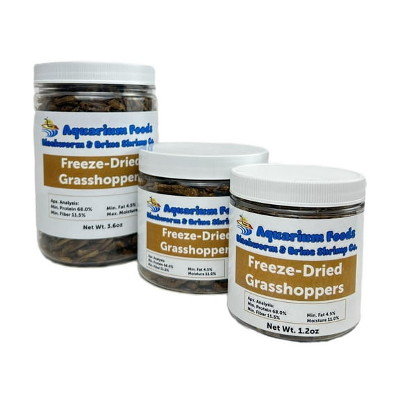 Grasshoppers - Freeze-Dried Grasshoppers for Large Fish, Reptiles, Turtles, Birds, Hamsters, Hedgehogs, Sugar Gliders - 1.2oz Sm Round Jar