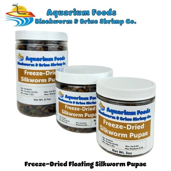 Silkworm Pupae - Freeze-Dried Silkworm for Color Glossing in Koi, Pond Fish, Land & Aquatic Turtles, Reptiles, Rodents, Birds - 3oz Sm Round Jar