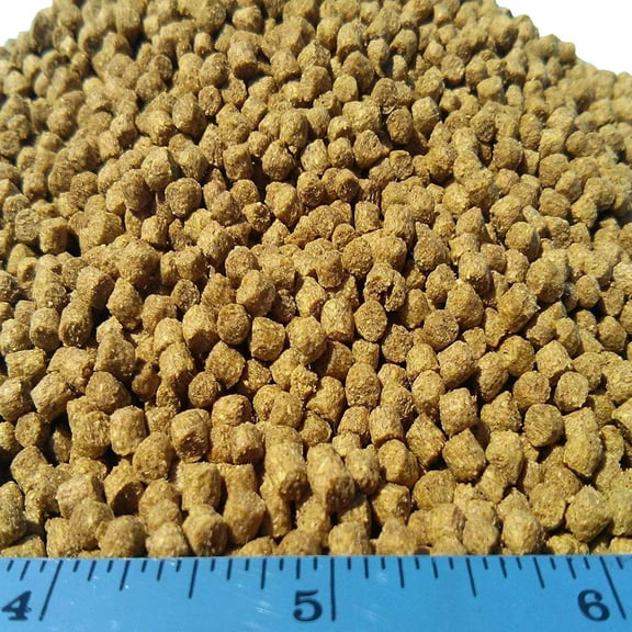 Aquatic Foods Sinking 1/8" Pellets for Plecos, Catfish, Shrimp Snails ALL Bottom Fish - 1/2-lbZiegler