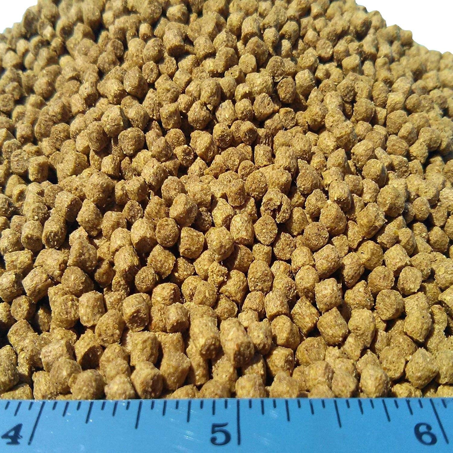 Aquatic Foods Sinking 1/8" Pellets for Plecos, Catfish, Shrimp Snails ALL Bottom Fish - 12-lbs…Ziegler