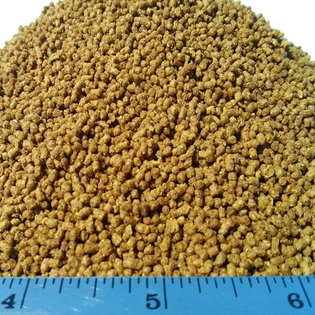 Aquatic Foods Sinking 3/64"-1/16" Pellets for Snails, Shrimp, Bottom Fish, ALL Tropical Fish - 12-lbs…Zeigler